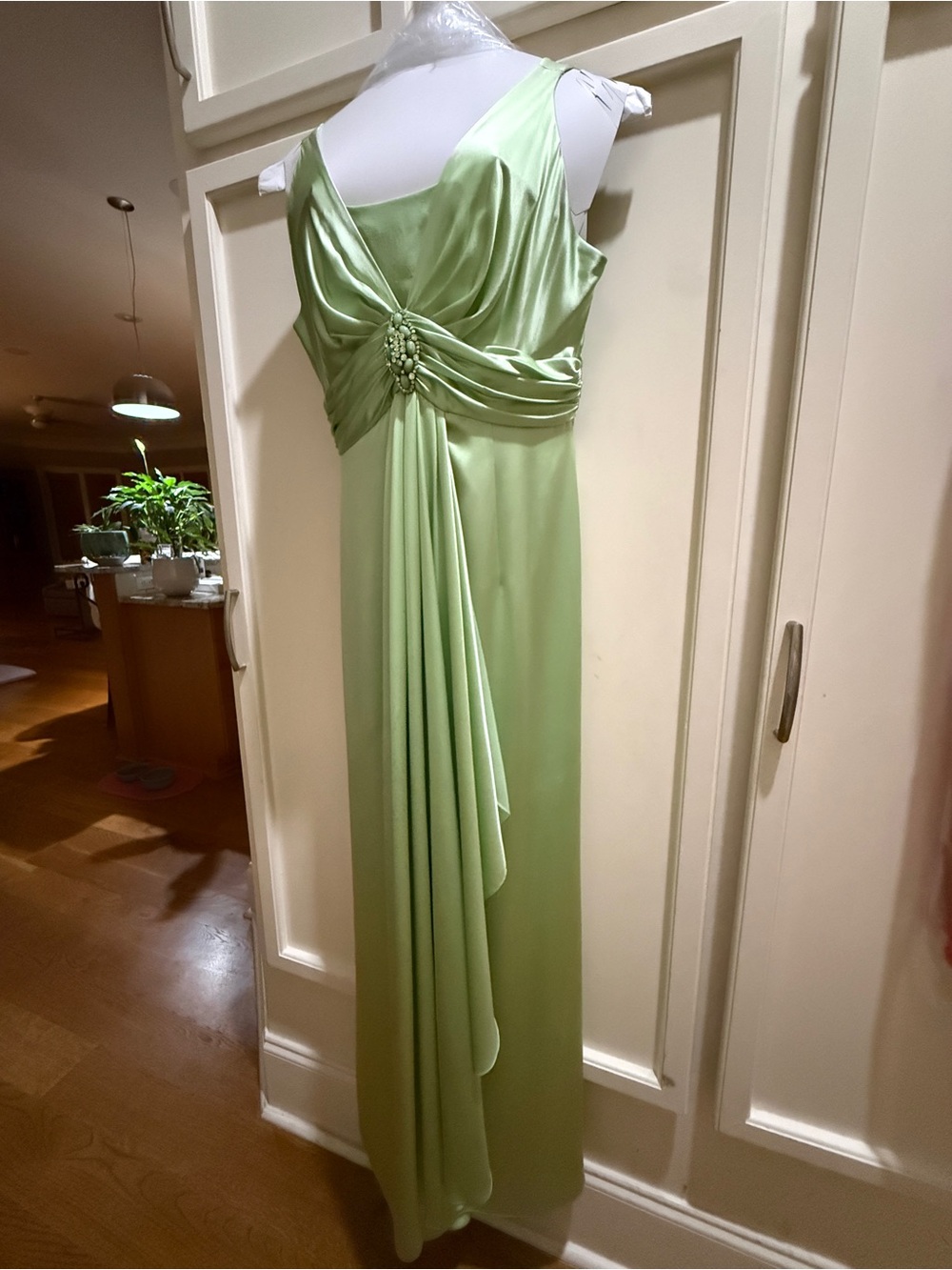 TeriJon Lt Green Evening Gown w/Embellished Centerpiece Removable peekaboo cover